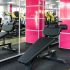 Регулируемая cкамья для пресса DHZ Fitness  A-3037