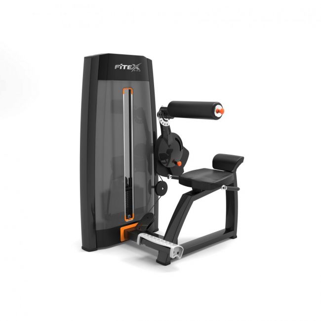 Разгибатель спины Fitex Pro Status FTX-7317